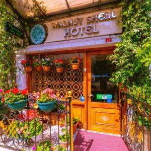 Walnut Shell Hotel 