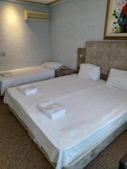 Grand Ambiance Hotel - image 8