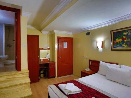 Kafkas Hotel Istanbul - image 6