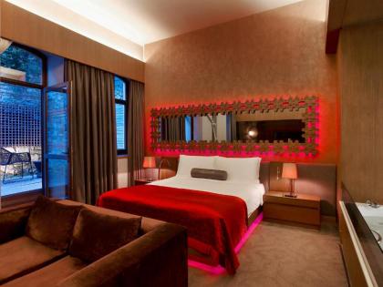 W Istanbul - image 15