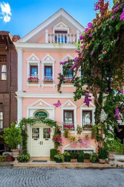 Romantic Hotel Istanbul - image 1