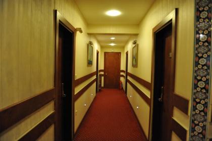 Turvan Hotel - image 3