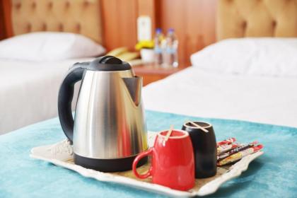 Old City Viva Hotel - image 10