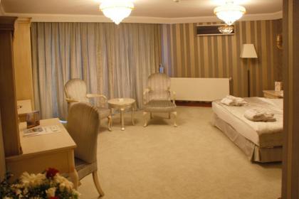 Mosaic Hotel - image 12
