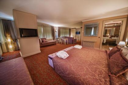 Dream Hill Business Deluxe Hotel Asia - image 5