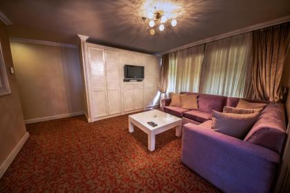 Dream Hill Business Deluxe Hotel Asia - image 8