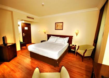 Golden Crown Hotel - image 11