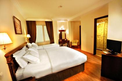 Golden Crown Hotel - image 15