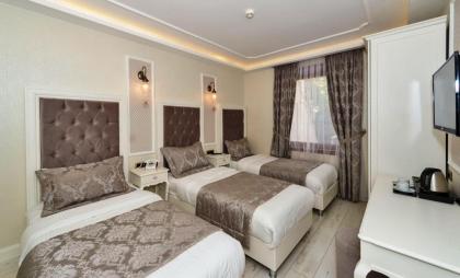 Zeynep Sultan Hotel - image 11