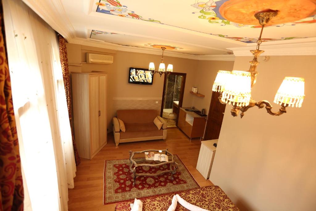 Hotel Tashkonak Istanbul - image 4