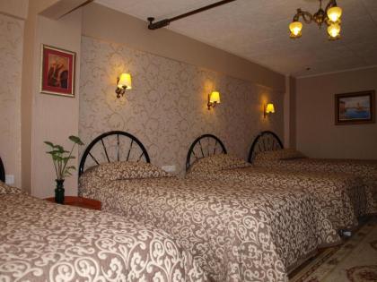 Hotel Nezih Istanbul - image 14