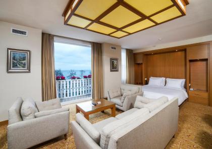 Radisson Hotel Istanbul Sultanahmet - image 8