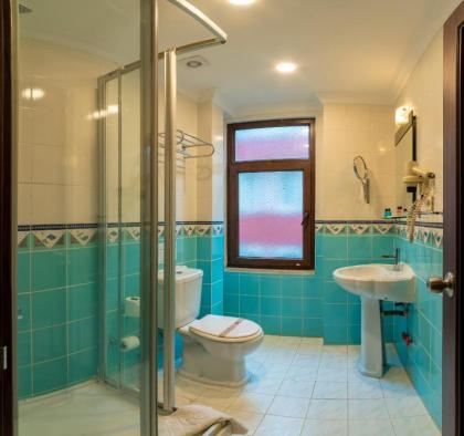 Arena Hotel - image 12
