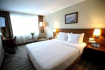 Dedeman Istanbul Hotel - image 20