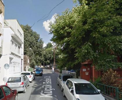 Inin Bebek - image 11