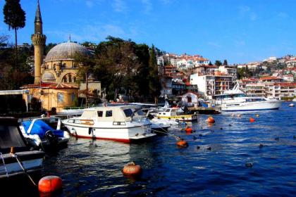 Inin Bebek - image 6