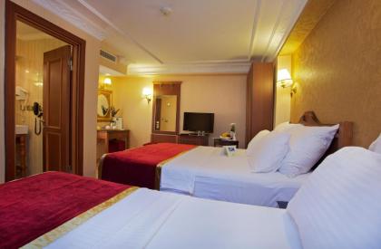 Amber Hotel - image 17