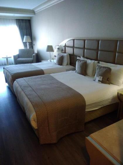 Eser Premium Hotel And Spa - image 10