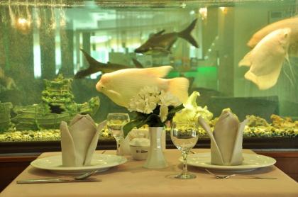 Zagreb Hotel - image 17