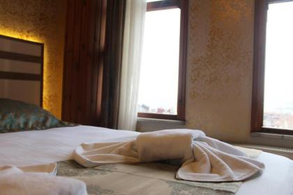 Theodian Hotel - image 4
