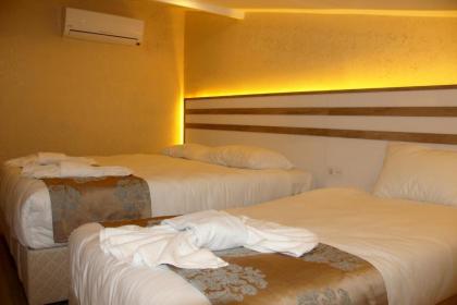 Theodian Hotel - image 6