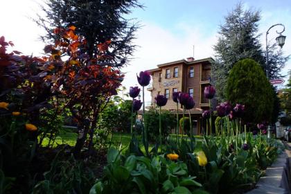 Turquhouse Hotel - image 1