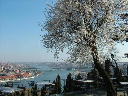 Turquhouse Hotel - image 13