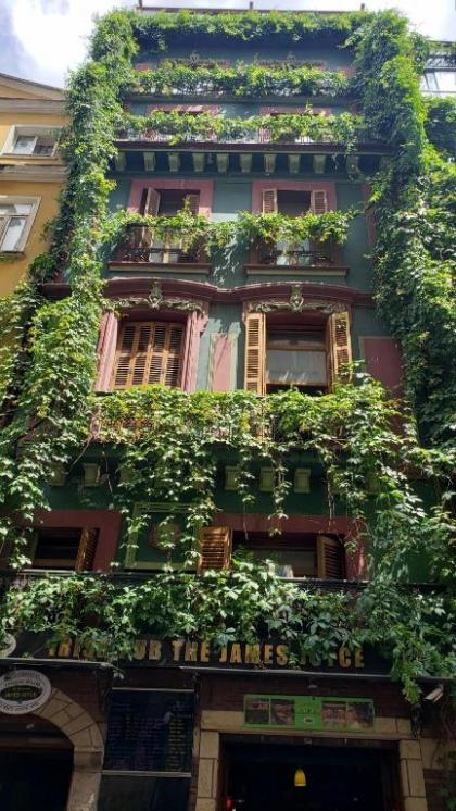 Istanbul Irish Hotel - image 3