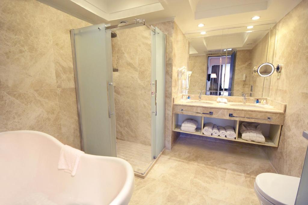 Akgun Istanbul Hotel - image 2