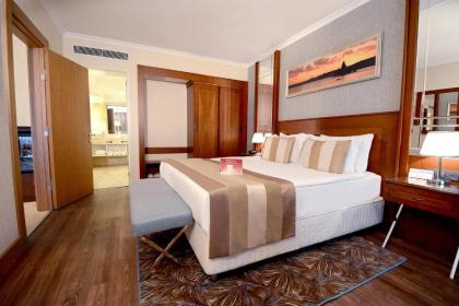 Akgun Istanbul Hotel - image 3