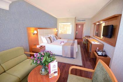 Akgun Istanbul Hotel - image 7