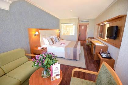 Akgun Istanbul Hotel - image 9
