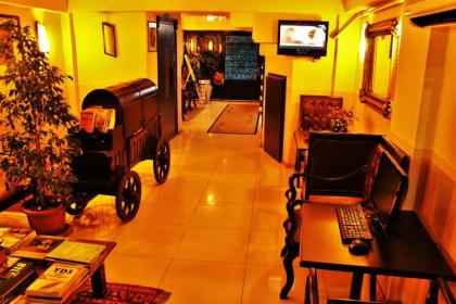 Sultanahmet Park Hotel - image 1