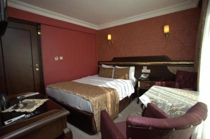 Sultanahmet Park Hotel - image 2