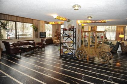 Star City Hotel - image 4