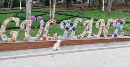 Agora Guesthouse - image 12