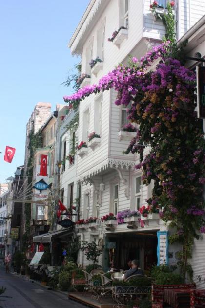 Romantic Mansion - image 1