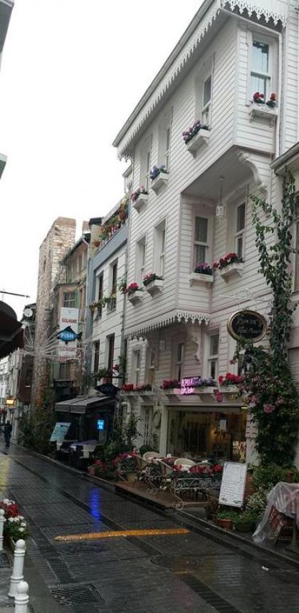 Romantic Mansion - image 8