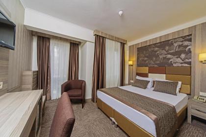 Pera Arya Hotel - image 13