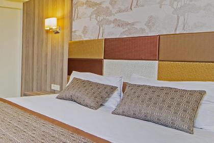 Pera Arya Hotel - image 4