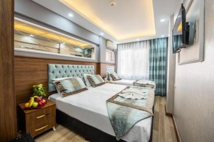 Istanbul Sirkeci Hotel - image 1