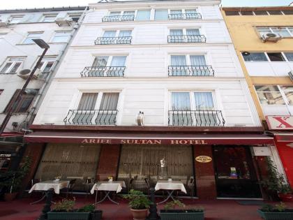 Arife Sultan Hotel - image 1
