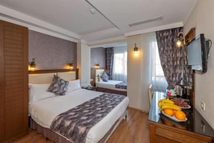 Aristocrat Hotel - image 4