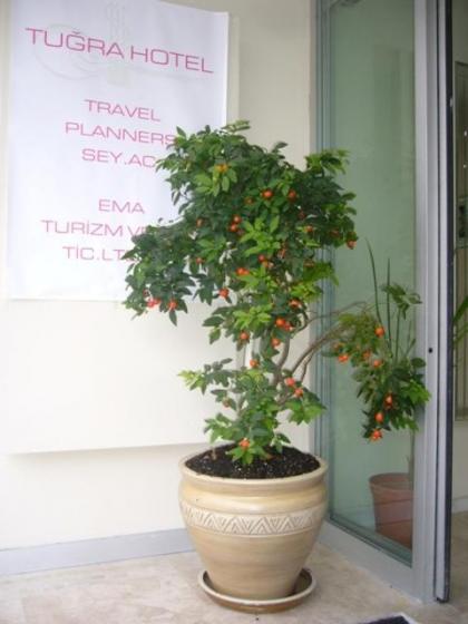 Tugra Hotel - image 13