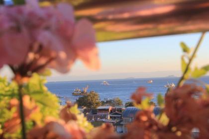 Sayeban Hotel Istanbul - image 3