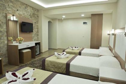 Baron Hotel - image 12