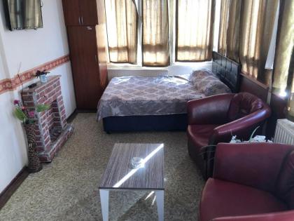 Kadikoy Kervansaray Hotel - image 11