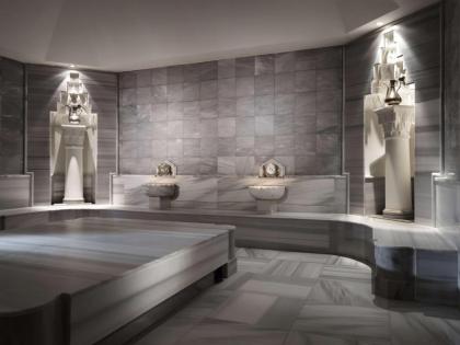Grand Hyatt Istanbul - image 12
