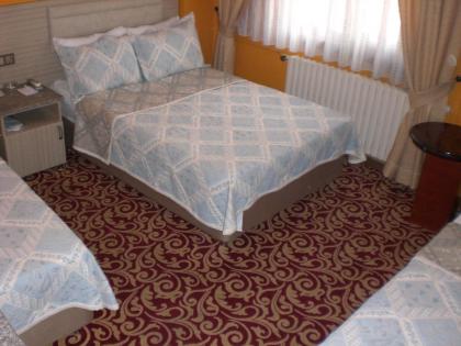 Grand Reis Hotel - image 2