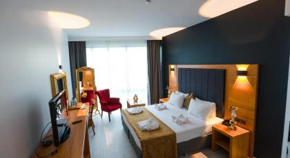 Asia Artemis Suite - image 10
